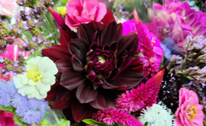 flower-arrangement-from-apricity-flowers