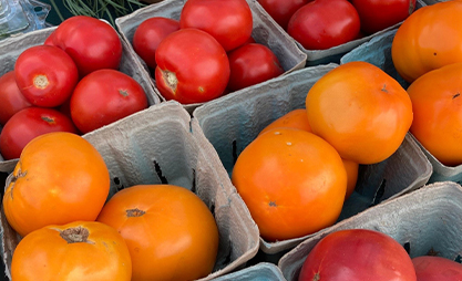 Clarks Farm Tomatoes